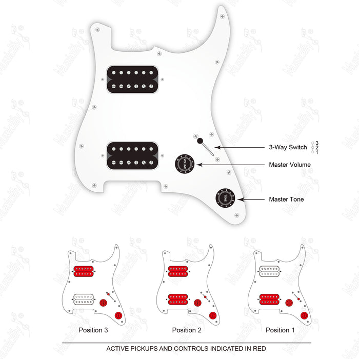 Modello Standard ST-HH in Stile Americano con Pickup Wilkinson M e Diagramma di Cablaggio per 2 Potenziometri