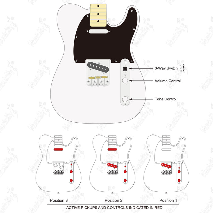 Stile Importazione Standard Tele-SS Con Diagramma di Cablaggio Pickup Musiclily Basic