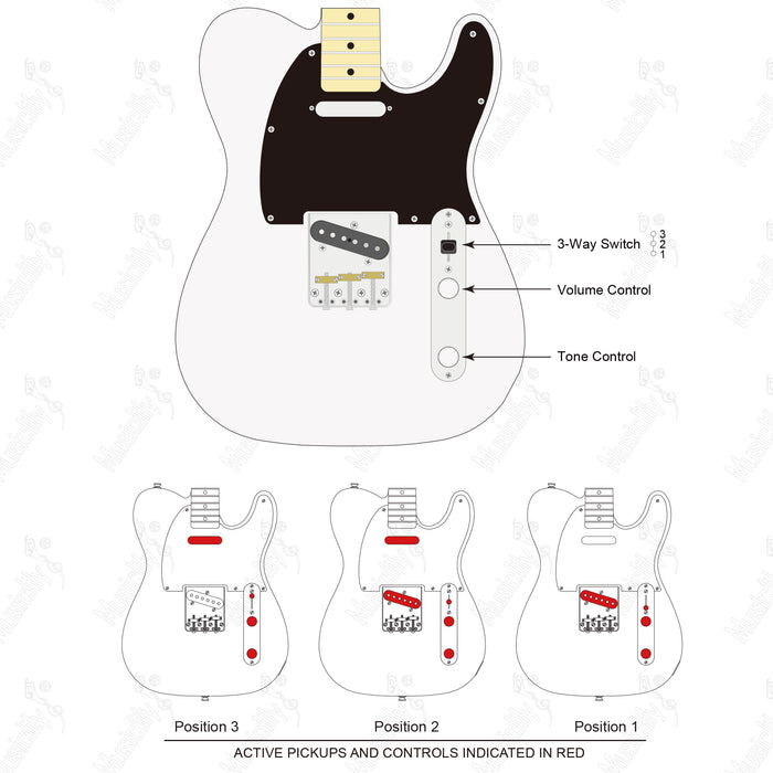 Import Style Standard Tele-SS With Revival Pickup Wiring Diagram