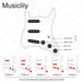 Dimensions of musiclily basic pre wired loaded standard st sss pickguard with ceramic magnet single coil pickups set for strat style electric guitar m276p