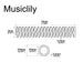 Dimensions of musiclily basic 5 33mm humbucker pickup height adjustment mounting springs for electric guitar m562 50