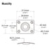 Dimensions of musiclily basic steel rectangle guitar jack plate for electric guitar or bass m772 2p