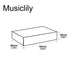 Dimensions of musiclily plastic guitar pick holder box transparent mx1063 2
