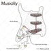 Size of musiclily basic pre wired loaded standard st sss pickguard with ceramic magnet single coil pickups set single capacitor for strat style electric guitar mx1318bk
