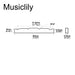 Dimensions of musiclily pro urea resin plastic 40mm slotted jazz bass nuts flat bottom for 4 string j bass mx1990 2p