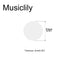 Dimensions of musiclily pro natural mother of pearl guitar fretboard inlay dots mx2057wp 20p