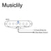 Size of wilkinson m series high output alnico 5 st single coil neck pickup for strat style electric guitar mx2065bk