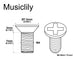 Dimensions of musiclily pro metric m4 10mm stainless steel phillips countersunk mounting screws for imported strat style electric guitar tremolo block mx2094 10p