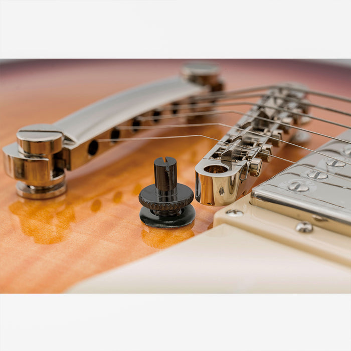 Jeu de 2 goujons de montage métriques et bagues pour pont Nashville Tunematic de guitare électrique style LP importée Musiclily Pro