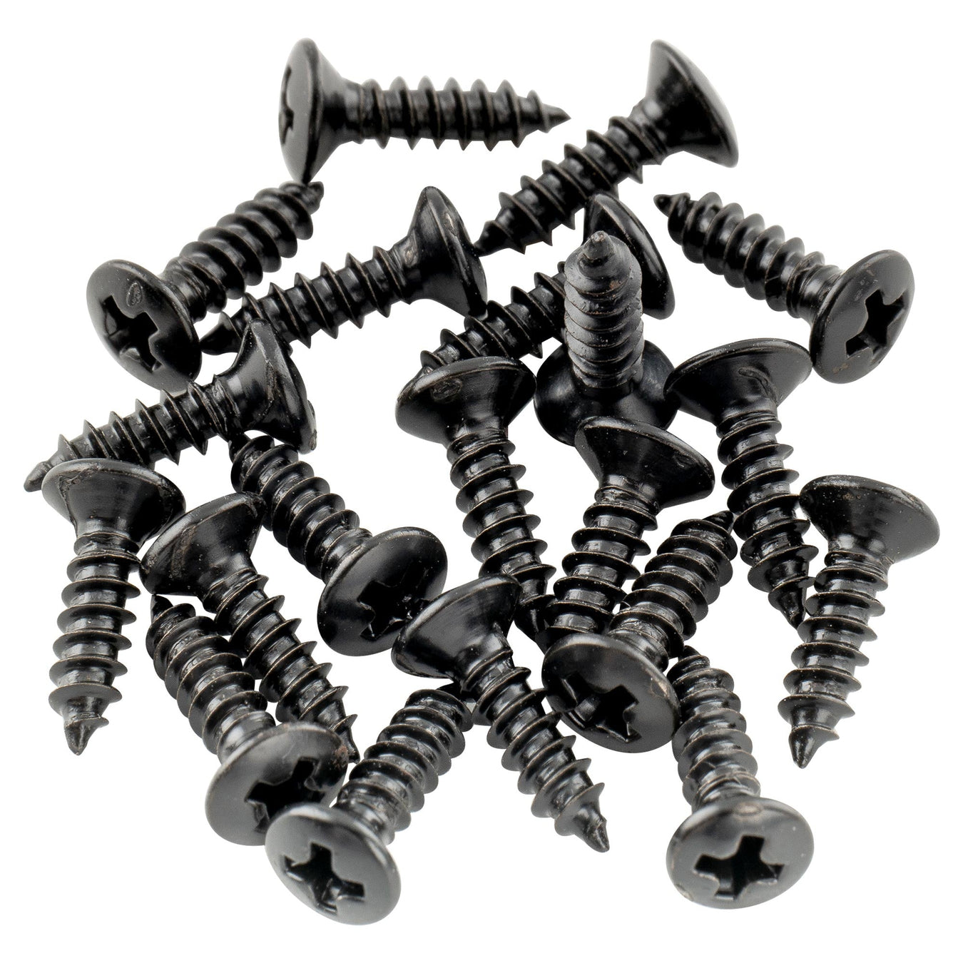 Neck and Body Screws