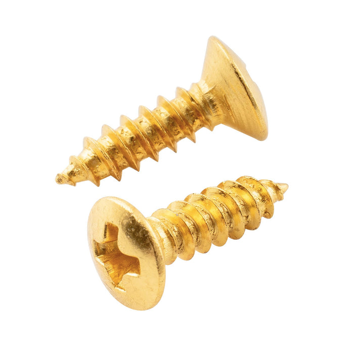 ミュージックリリー ベーシック 2.5x10mm スチールメートルねじギターピックガードジャックとトラスロッドカバーマウントネジ エピフォンレスポールスタイルギター用、20個セット