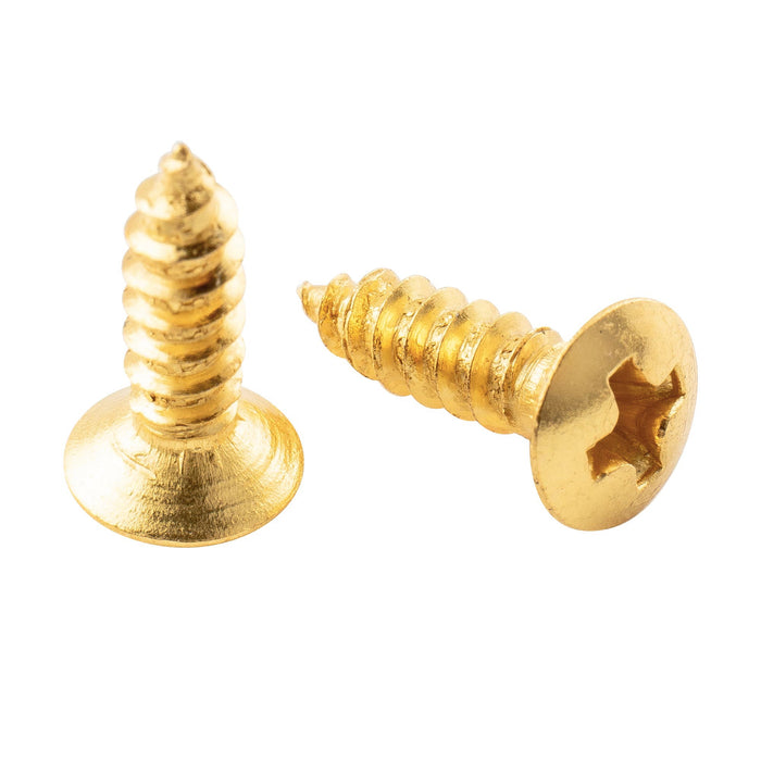 ミュージックリリー ベーシック 2.5x10mm スチールメートルねじギターピックガードジャックとトラスロッドカバーマウントネジ エピフォンレスポールスタイルギター用、20個セット