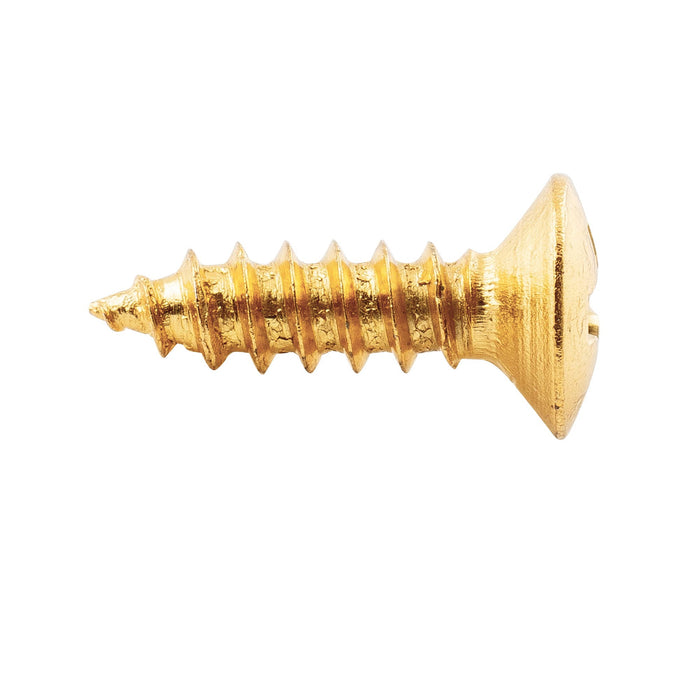 ミュージックリリー ベーシック 2.5x10mm スチールメートルねじギターピックガードジャックとトラスロッドカバーマウントネジ エピフォンレスポールスタイルギター用、20個セット