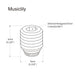 Dimensions of musiclily pro metric m3 3mm stainless steel tightening set screw for strat style electric guitar tremolo bridge push in style arm bar mx2243 2