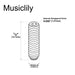 Dimensions of musiclily pro unc 4 40 1 2 inch steel saddle height adjustment screws for american electric guitar bass bridge mx2481 12