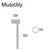 Dimensions of musiclily pro 8mm steel hex box wrench guitar truss rod adjustment wrench for esp guitar mx2729nk