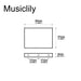 Dimensions of musiclily ultra 37mm full solid steel block for electric guitar floyd rose locking tremolo bridge mx2945p