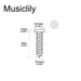 Dimensions of musiclily ultra 2 5x10mm stainless steel pan head mounting screws for acoustic classical electric guitar tuners machine heads mx3031 20p