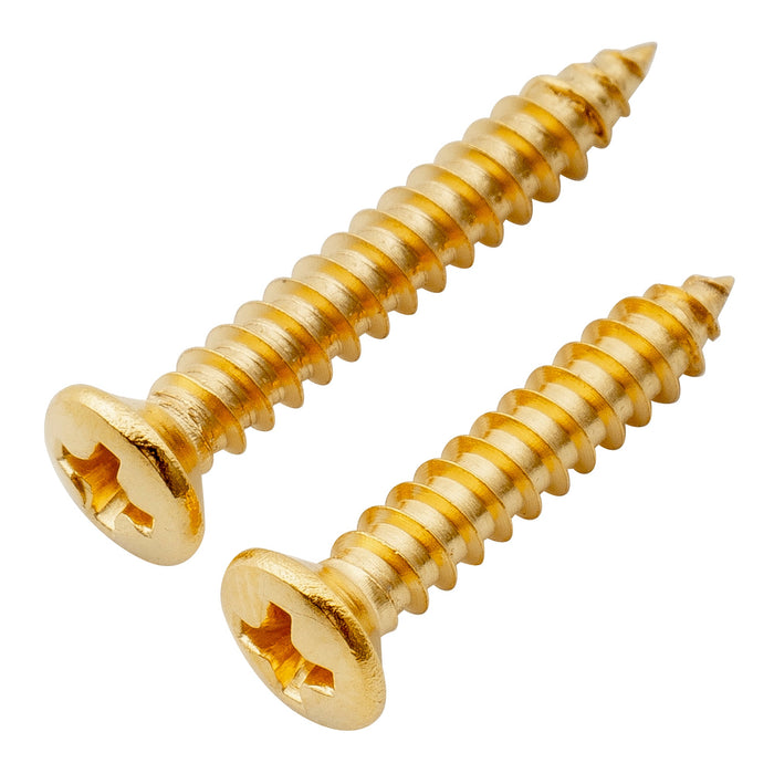 ミュージックリリー ウルトラ 2.5x15mmおよび2.5x18mmステンレス鋼製フラットネジ（電気ギター・ベースハムバッカーピックアップリング用）、20本セット