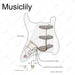Musiclily Pro Electric Guitar DIY Wiring Kit MX3170NK Wiring Diagram musiclily