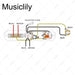 Musiclily Pro Import Tele Style Electric Guitar Pre-wired Wiring Harness MX3181CR Wiring Diagram musiclily