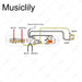 Dimensions of musiclily pro electric guitar pre wired wiring harness upgrade for american style tl with 3 way switch and 2a pots mx3183cr