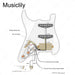 Musiclily Pro Auto-Split Pre-wired Standard HSS Pickguard with Artec Pickups Alnico 5 Magnet for ST Style Electric Guitar Musiclily Pro