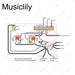 Dimensions of musiclily pro electric guitar auto split pre wired wiring harness upgrade for american style st hss with 5 way switch and 3a pots nickel jack mx3199nk