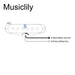 Size of musiclily pro st 60s staggered alnico 5 single coil neck pickup for strat style electric guitar mx3239mx3240mx3241p