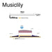 Dimensions of musiclily basic transducer under bridge saddle soft cable piezo pickup for acoustic or classical guitar 90mm 1 8mm mx3301