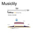 Dimensions of musiclily basic transducer under bridge saddle soft film sensor piezo pickup for acoustic or classical guitar 90mm 2 8mm mx3302
