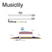 Dimensions of musiclily basic transducer under bridge saddle ceramic piezo pickup for ukulele 50mm 2 2mm mx3303