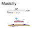 Dimensions of musiclily basic transducer under bridge saddle soft cable piezo pickup for ukulele 75mm 1 8mm mx3304