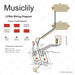 Musiclily Pro LP STD Vintage 50s & Modern 60s Wiring Kit MX3363NK Wiring Diagram musiclily