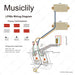 Musiclily Pro LP STD Vintage 50s Pre-wired Wring Harness Kit MX3364NK Wiring Diagram musiclily