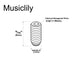 Dimensions of musiclily pro unc 6 32x5 16 inch stainless steel saddle height adjustment screws for fender tele style electric guitar bridge mx3399 10p