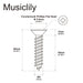 Dimensions of musiclily pro m3x20mm stainless steel countersunk phillips flat head wood screws for electric guitar bass routing templates mx3407 10