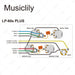 Musiclily Pro LP STD Modern 60s PLUS Pre-wired Wring Harness Kit MX3412NK Wiring Diagram musiclily