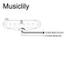 Size of musiclily pro st 50s staggered alnico 5 single coil neck pickup 5 6k for strat style electric guitar mx3420p