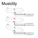Size of musiclily pro st 50s staggered alnico 5 single coil neck middle bridge pickups set for strat style electric guitar mx3420p