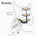 Size of musiclily pro se st dpha pre wired sss pickguard with alnico 5 mini rail humbucker for strat style electric guitar