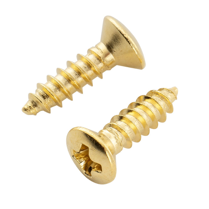 Musiclily Ultra 2.5x10mm Stainless Steel Truss Rod Cover Mounting Screws Countersunk for Epi Style Electric Guitar (Set of 10)