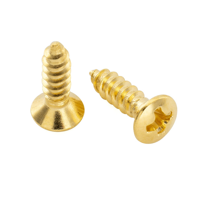 Musiclily Ultra 2.5x10mm Stainless Steel Truss Rod Cover Mounting Screws Countersunk for Epi Style Electric Guitar (Set of 10)