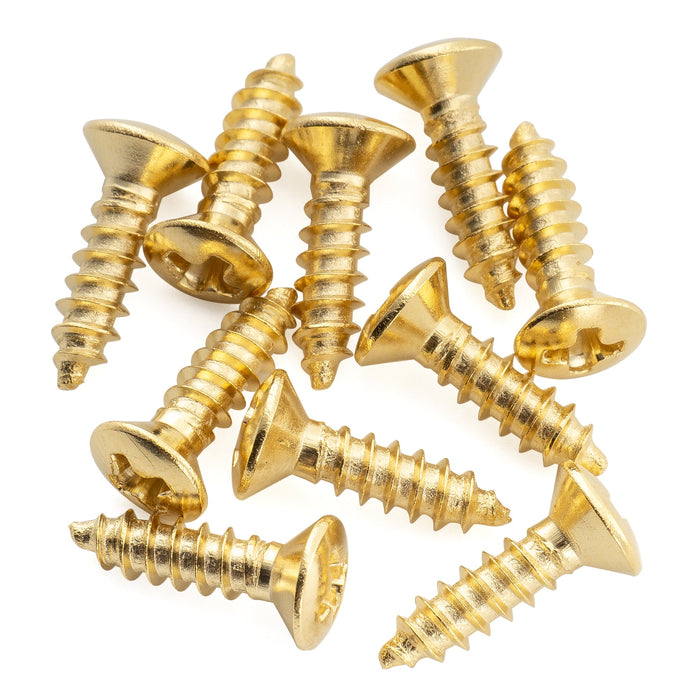 Musiclily Ultra 2.5x10mm Stainless Steel Truss Rod Cover Mounting Screws Countersunk for Epi Style Electric Guitar (Set of 10)