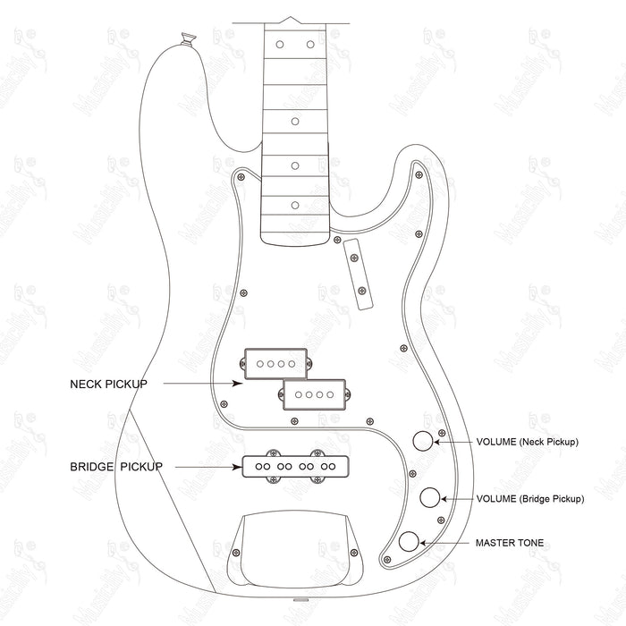 Standard PJB Import Style With Revival Pickup Wiring Diagram