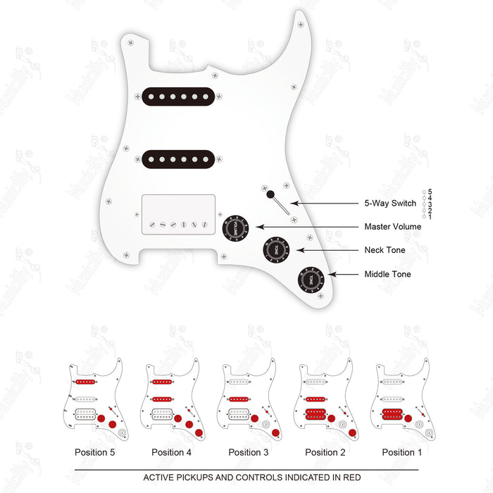 Standard ST-HSS (No Auto-Split) Import Style With Musiclily Basic Pickup Wiring Diagram