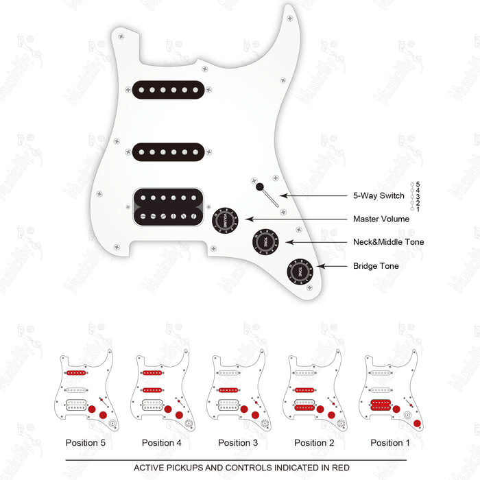 American Style ST-HSS With Musiclily Pro Pickup Auto-Split & Matched Load Wiring Diagram