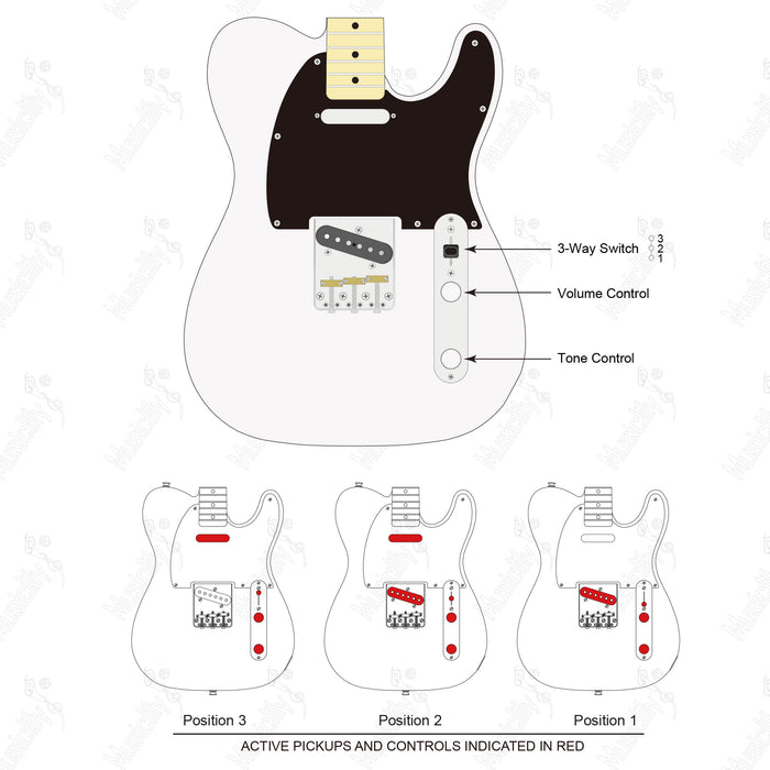 Schéma de câblage Tele-SS Standard américain avec micros Revival
